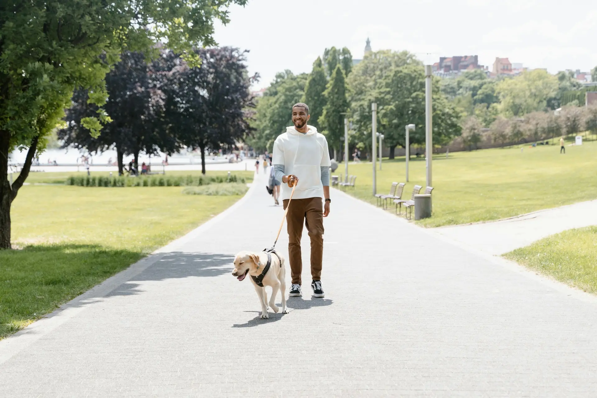 pet safe harnesses